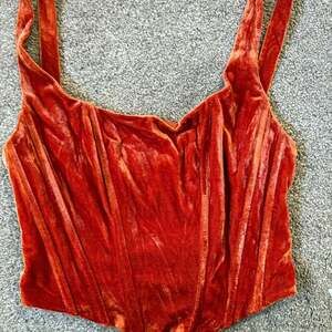 Et Clet burnt orange  velvet  Corset Top size small fairy core